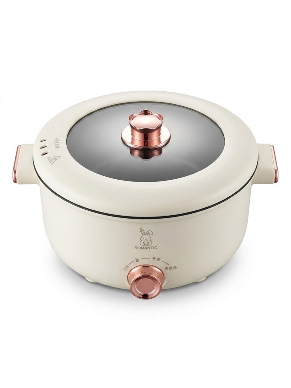 Runbaisen Electric Hot Pot Multi Cooker Cream & Rose Gold